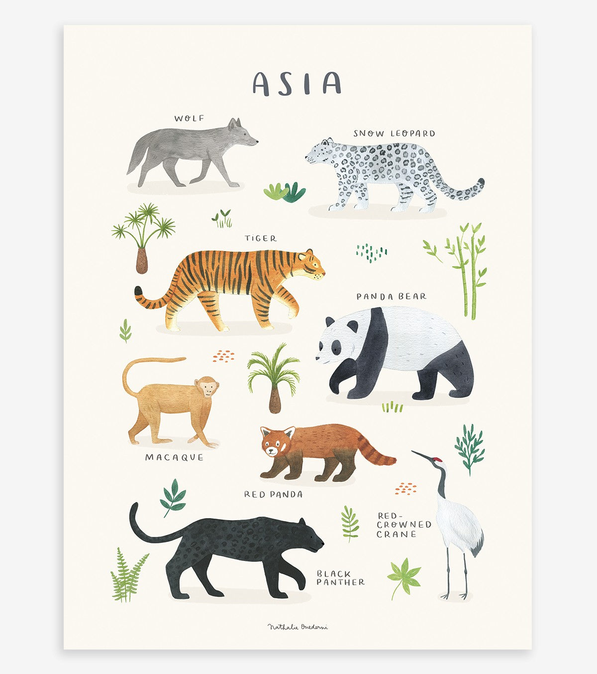 LIVING EARTH - Børneplakat - Asiatiske dyr