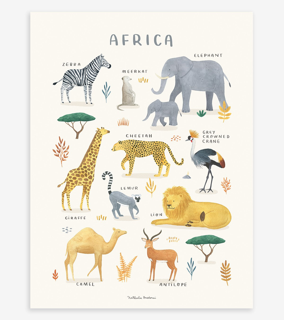 LIVING EARTH - Børneplakat - Afrikanske dyr