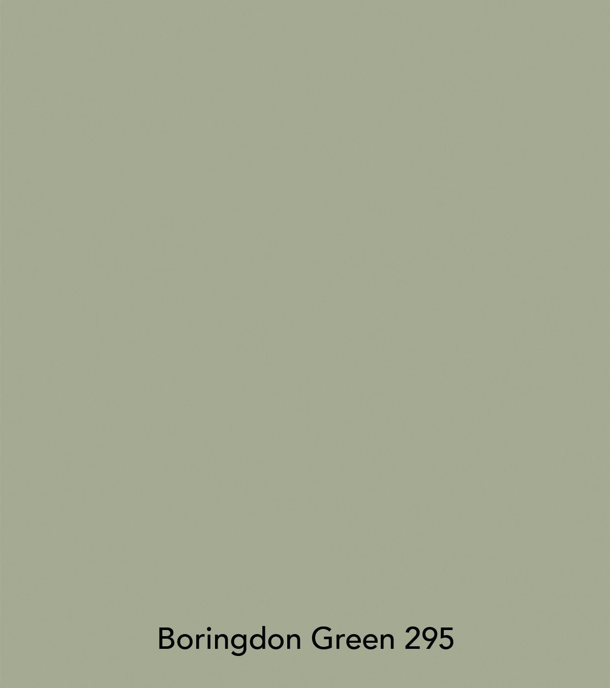 Little Greene paint - Boringdon Green (295)