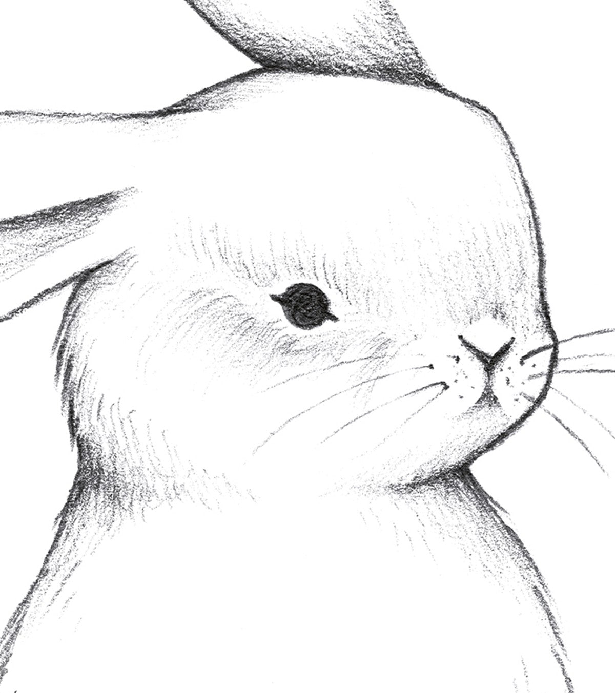 BUNNY - Børneplakat - Kanin med ansigt på